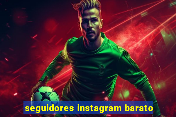 seguidores instagram barato