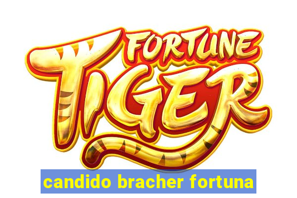 candido bracher fortuna