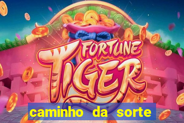 caminho da sorte esporte net