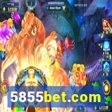 5855bet.com