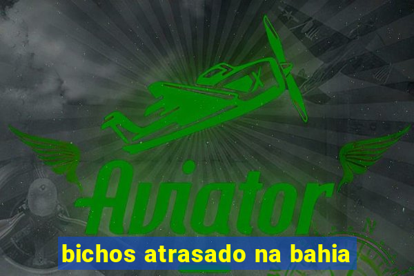 bichos atrasado na bahia