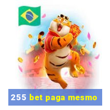 255 bet paga mesmo