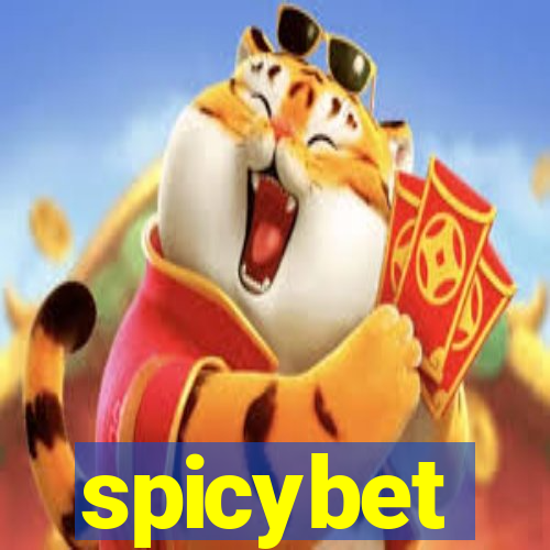 spicybet-2.com