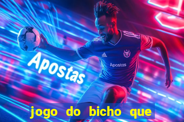 jogo do bicho que paga no pix