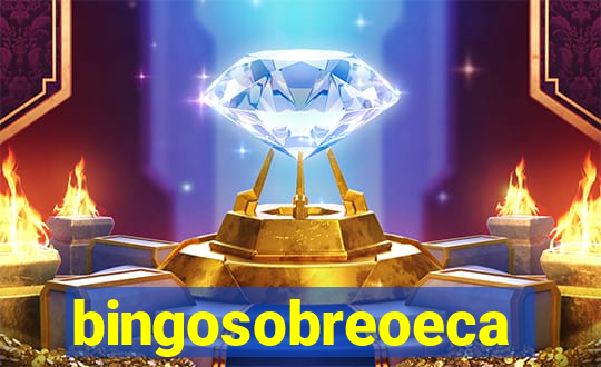 bingosobreoeca