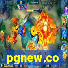 pgnew.co