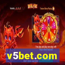 v5bet.com